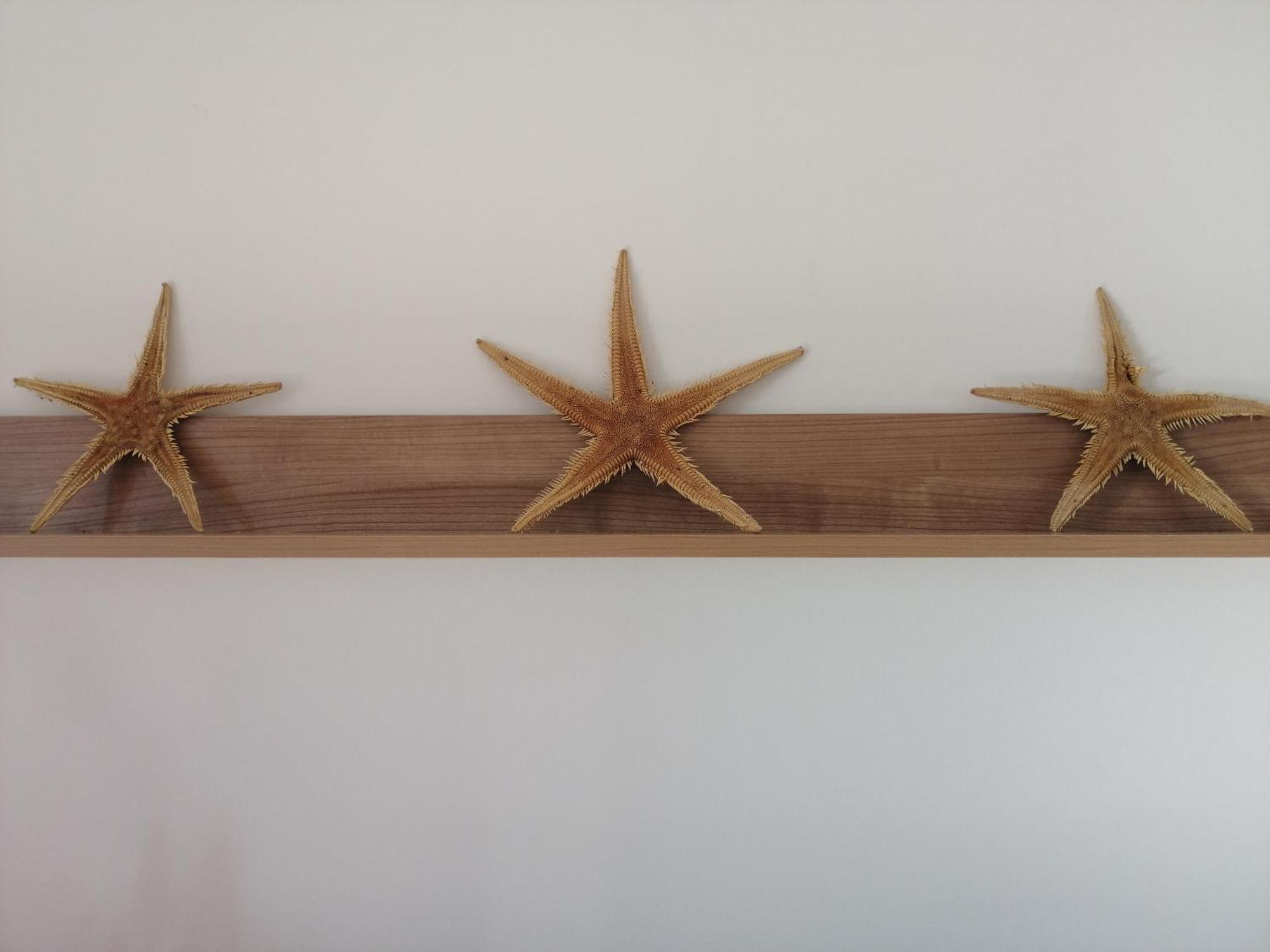 Apartmani Nada Klenovica Extérieur photo